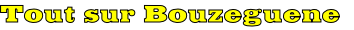 Tout sur Bouzeguene