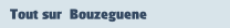 Tout sur  Bouzeguene.